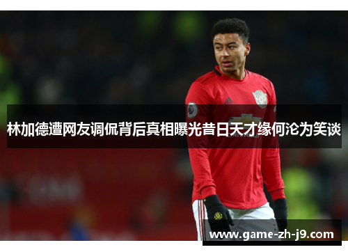 林加德遭网友调侃背后真相曝光昔日天才缘何沦为笑谈