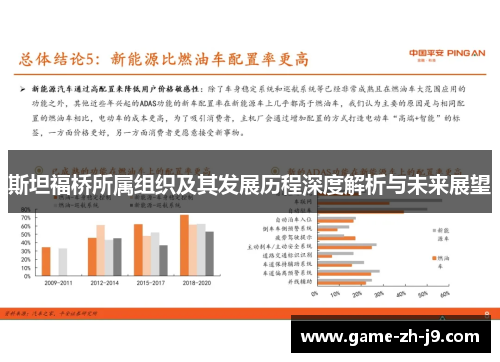 斯坦福桥所属组织及其发展历程深度解析与未来展望 斯坦福桥所属组织及其发展历程深度解析与未来展望