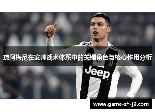 琼阿梅尼在安帅战术体系中的关键角色与核心作用分析 琼阿梅尼在安帅战术体系中的关键角色与核心作用分析