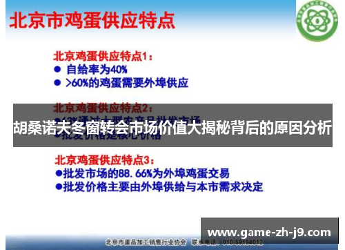 胡桑诺夫冬窗转会市场价值大揭秘背后的原因分析